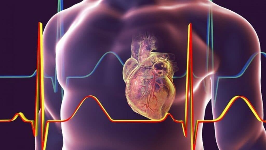 Corsa e cuore: esiste un legame?